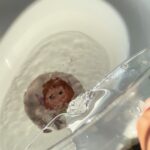 Termokleebis potitrenniks